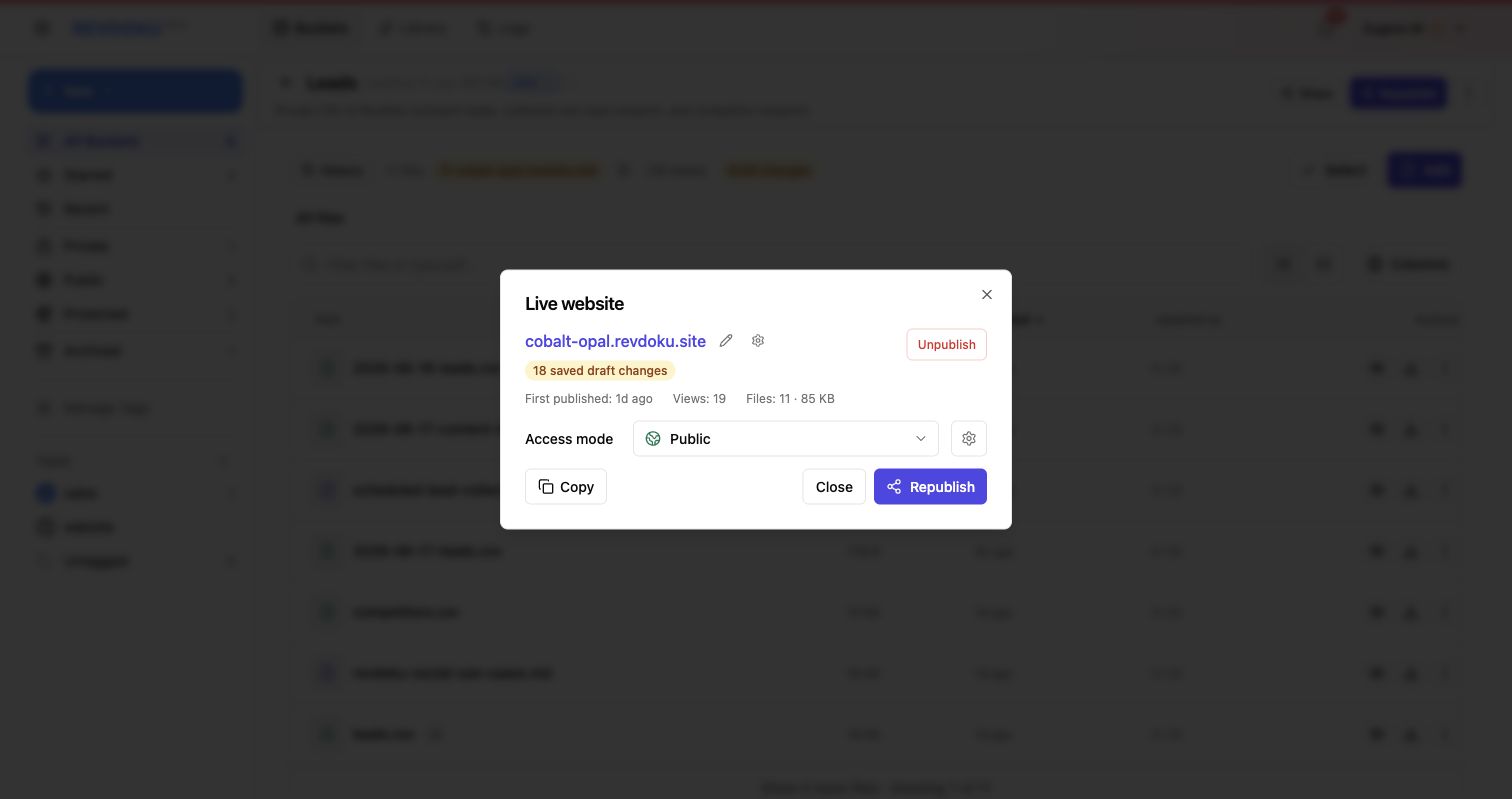 How to Choose the Right Website Access Mode in Revdoku