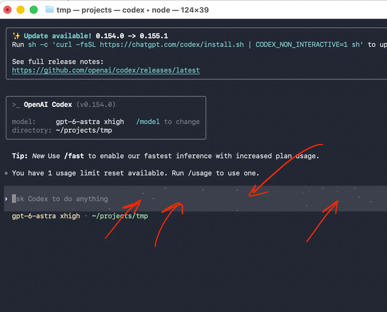 Turn Off Codex CLI Sparks with whimsy = false