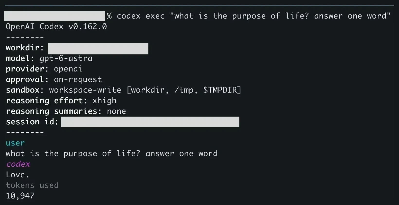 Codex exec running a one-word prompt in the terminal and printing the answer Love